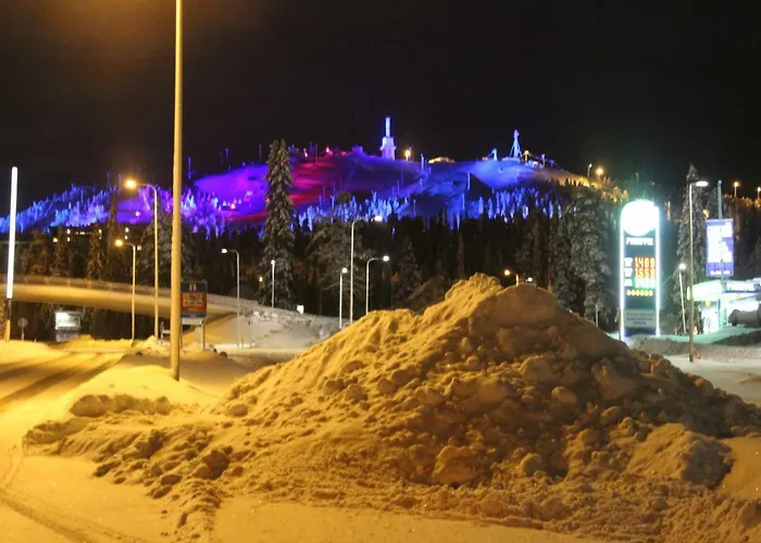 Rukanjuuri 3 Holiday home *